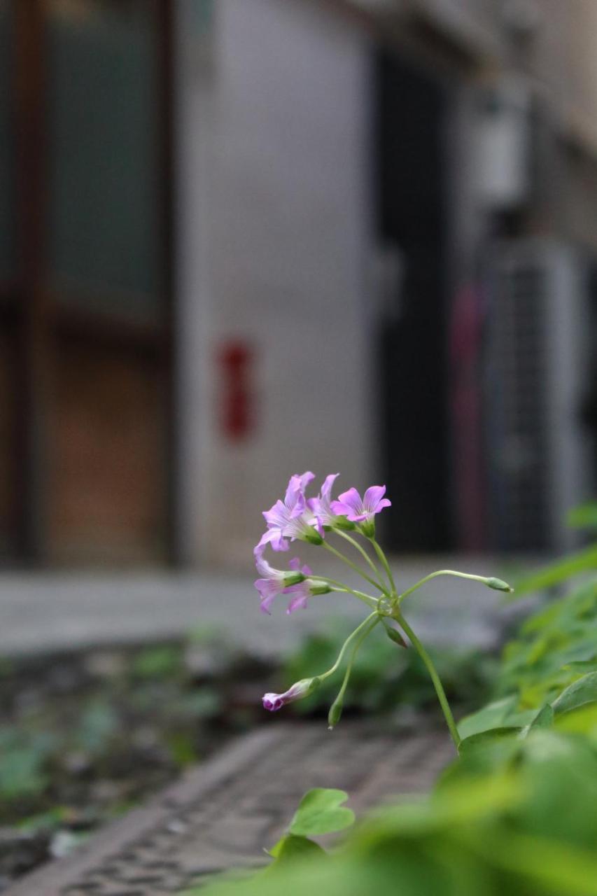 Chiyoda Inn Токио Экстерьер фото
